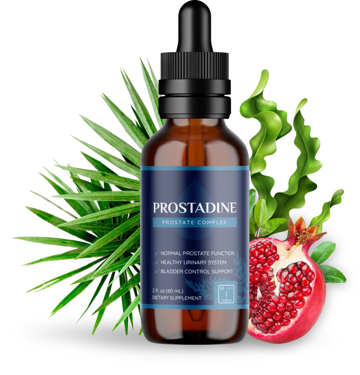 Prostadine prostate complex dropper bottle displayed with saw palmetto fronds, seaweed, and pomegranate